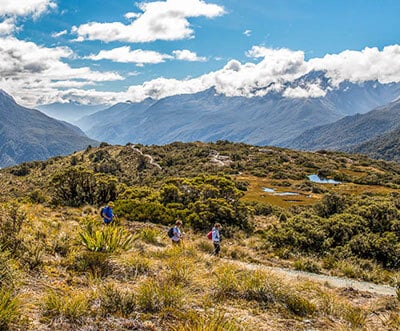 Which New Zealand hiking trip