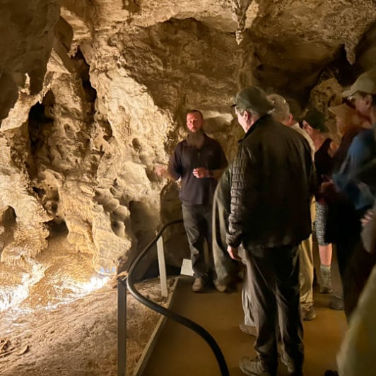 1. Exploring Waitomo Caves