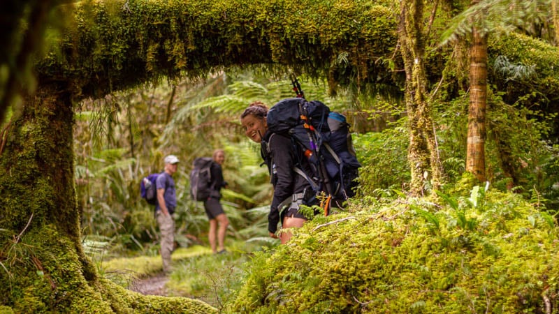 What is there to do in New Zealand? Hike the Hollyford track