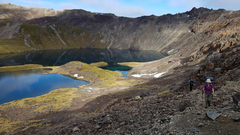 Looking for things to do in New Zealand South Island - multi day hike in Nelson Lakes