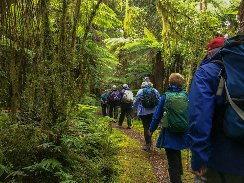 Your packing list for New Zealand should definitely include a good daypack!