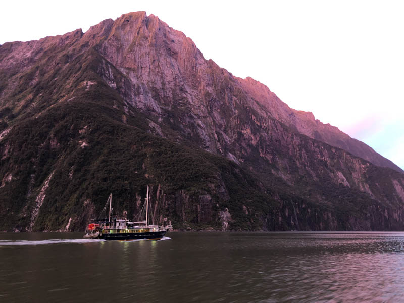 Explore Milford Sound by boat, one of the best things to do in New Zealand