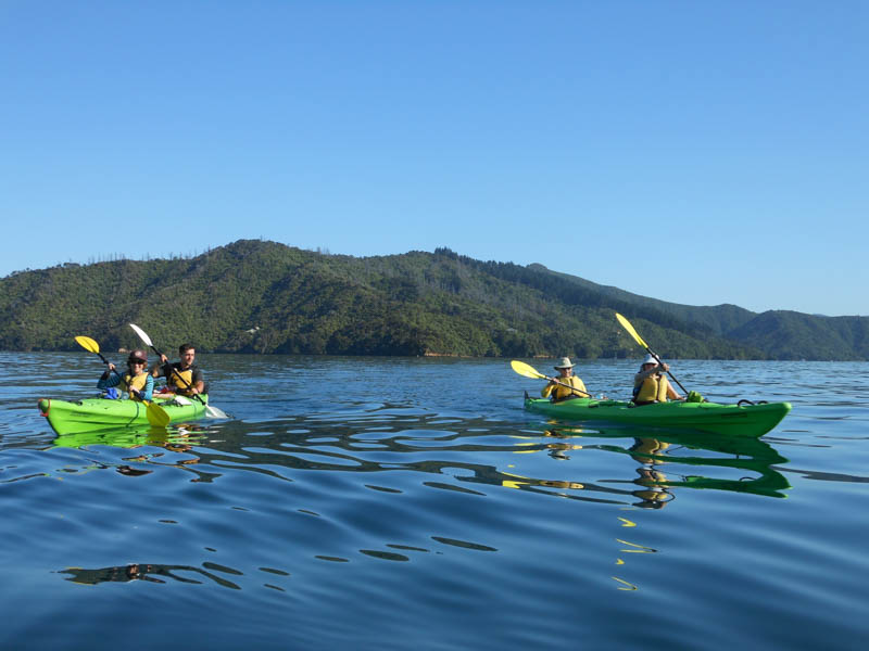 Go kayaking on Queen Charlotte Sound
