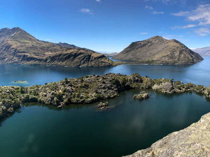 Lake Wanaka Cruise Wildlife Walk