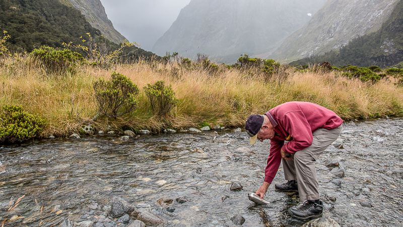 Drinking water from the river, Milford, Fiordland