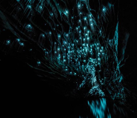 33. Explore glow worm caves