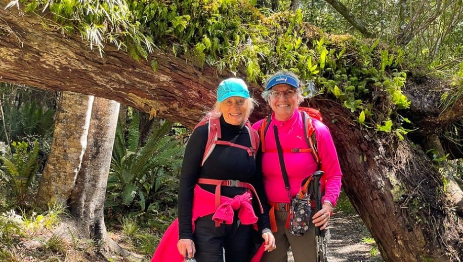 4 day walk on the Rakiura Track adventure tours2