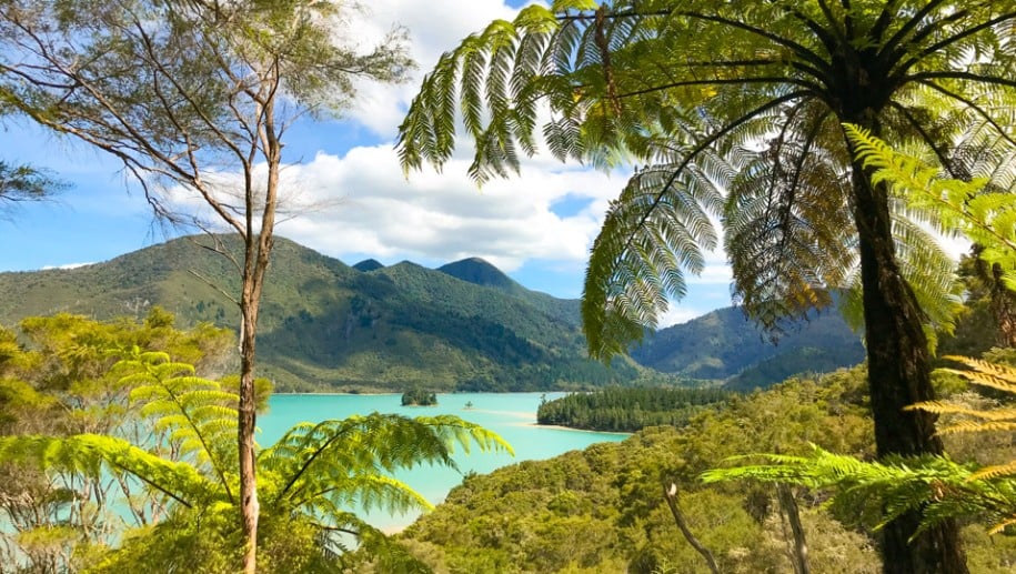6. Nydia Track views of lakes