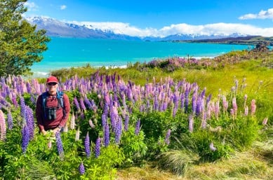 9. Guests in the lupins Lake Tekapo