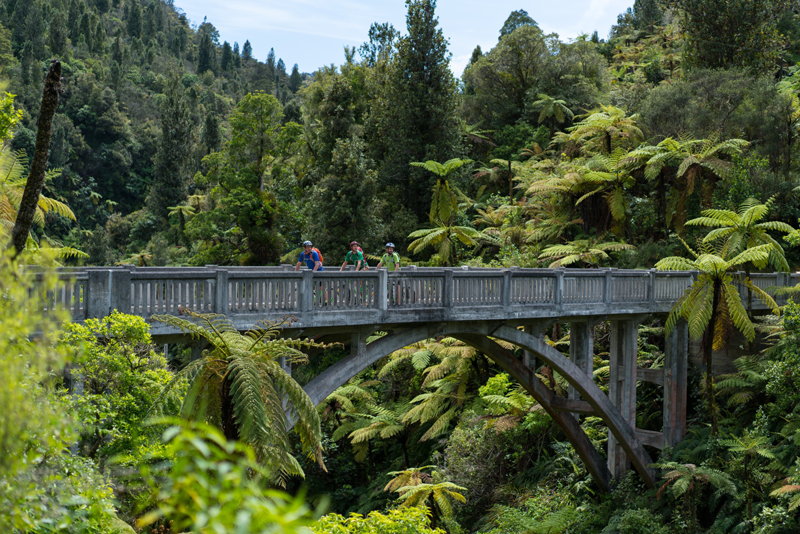 Bridge to Nowhere Whanganui River