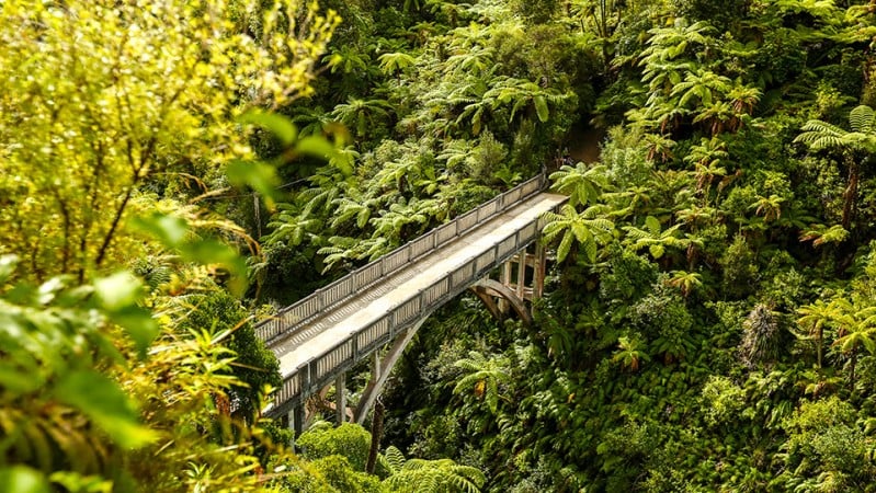 Bridge to Nowhere visit Ruapehu S2