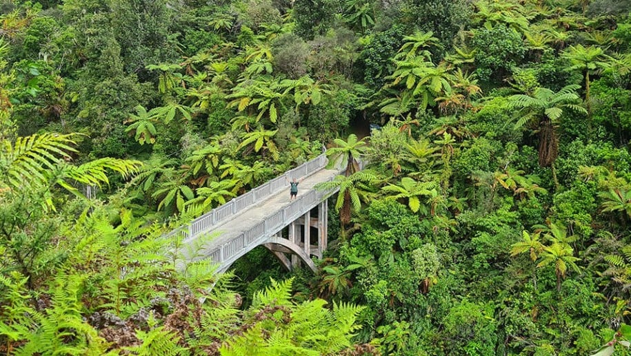 Bridge to Nowhere2