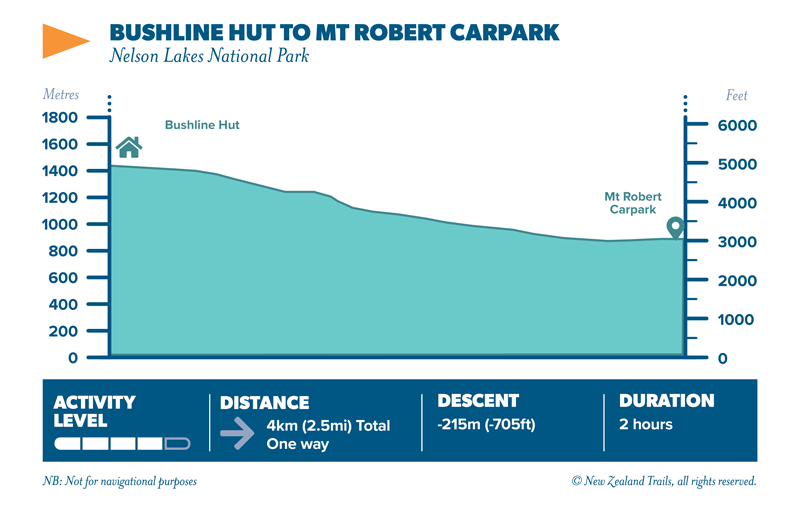 Bushline hut to Mt Robert elevation map2
