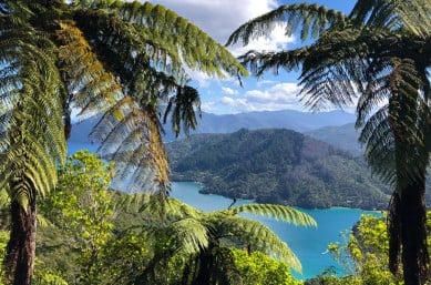 Day 6 Stunning views on the Nydia Track