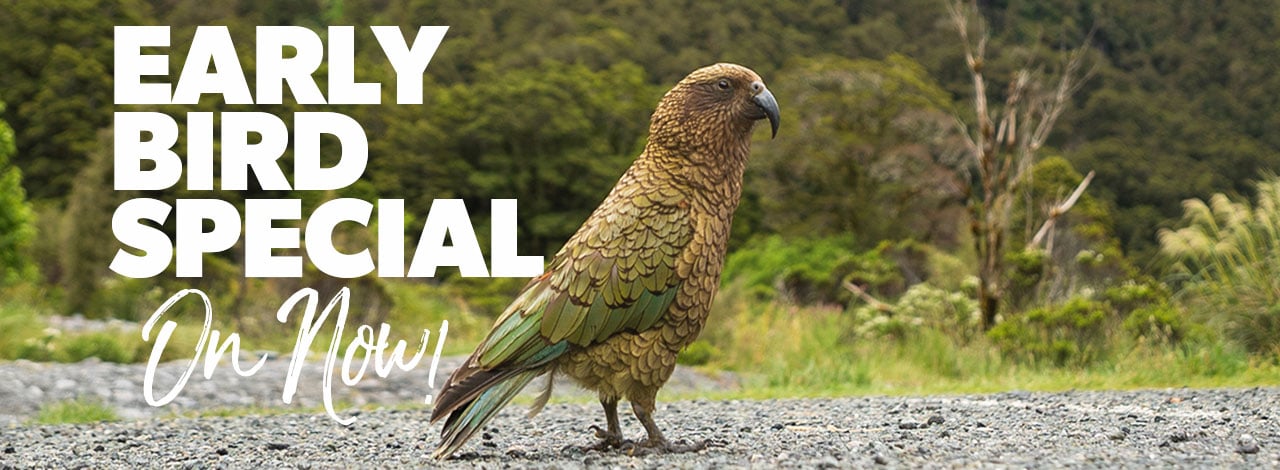 Early Bird Special3