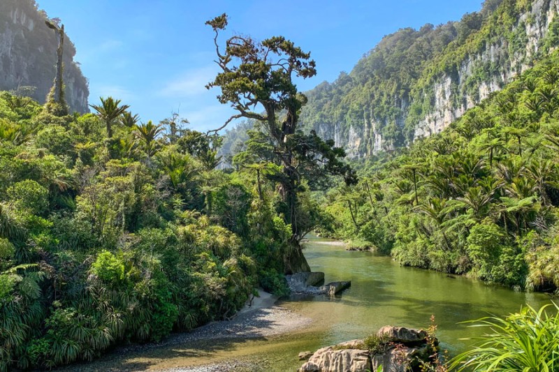 Explore Paparoa national park Nov Blog 2025