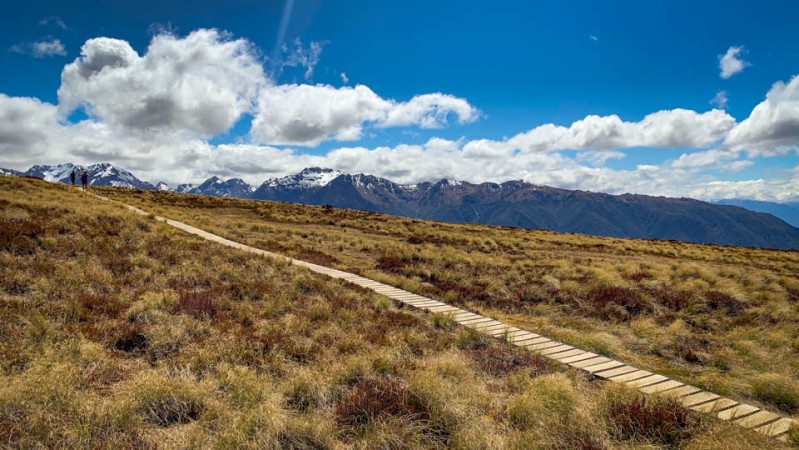 The Kepler Track in Fiordland National Park. 