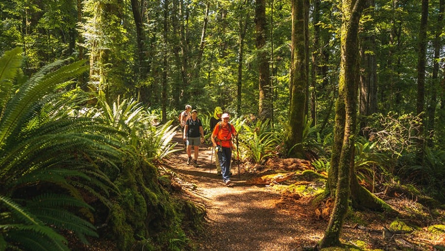 Guests Walking Kepler Track