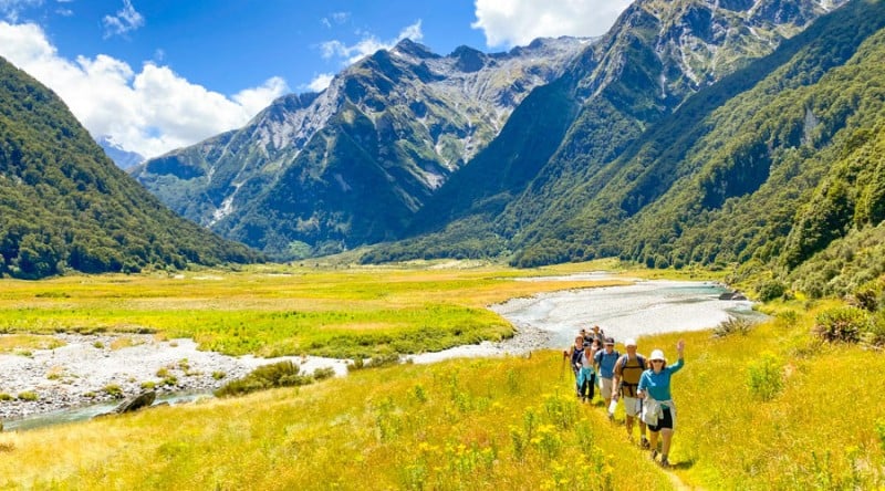 Spring New Zealand