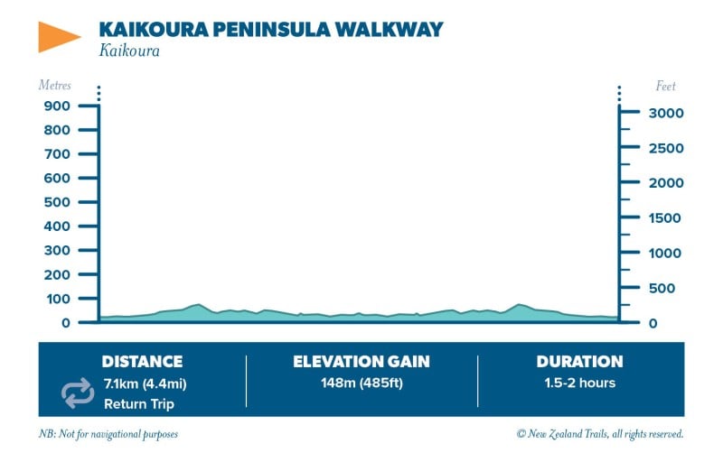 Kaikoura Peninsula Walkway Return Walk