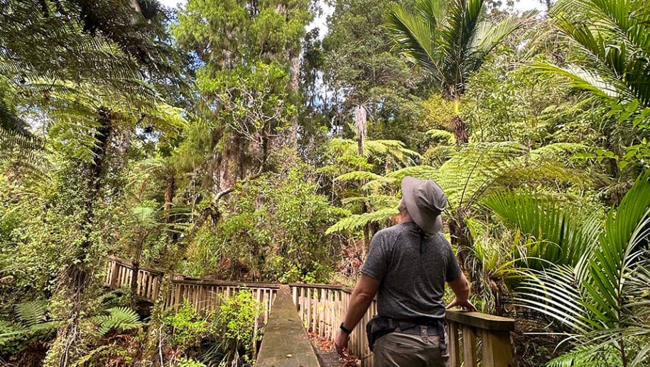 Kaniwhaniwha Reserve
