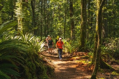 Kepler guests walking track