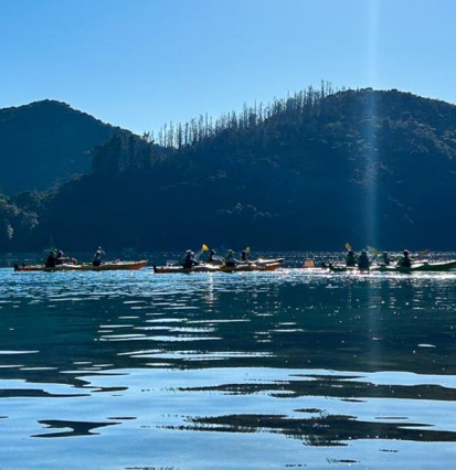 Landscape filler Queen Charlotte Sound thumb