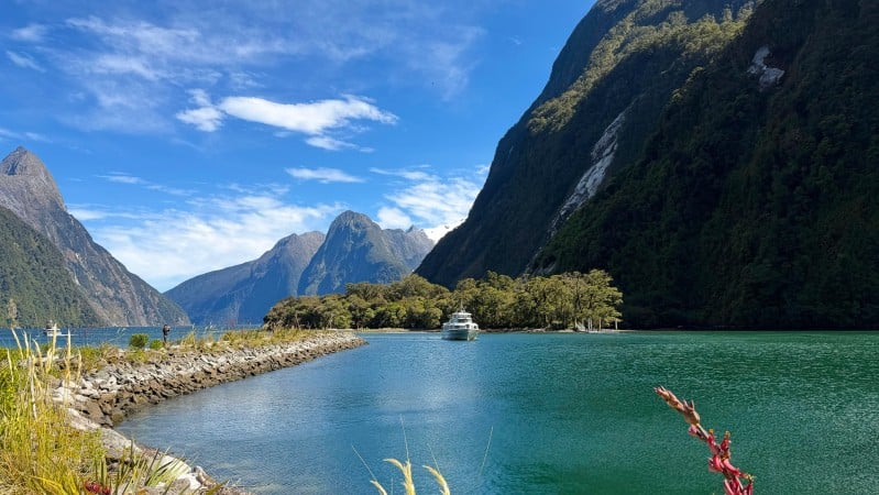 Milford Sound Foreshore Walk