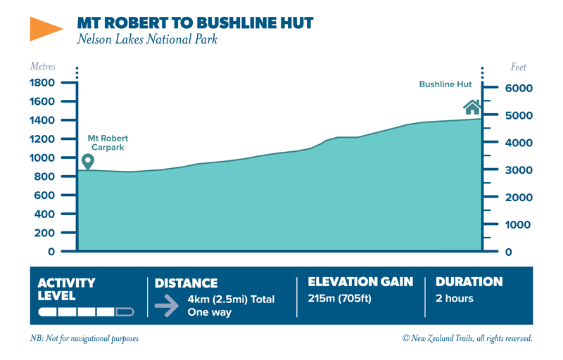 Mt Robert to Bushline hut elevation map