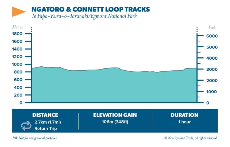 Ngatoro Connett Loop Track2