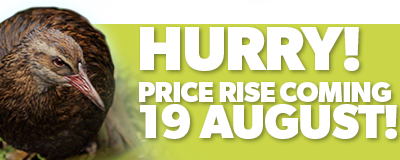 Price Rise August 2022 CTA5