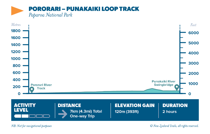 Punakaiki Pororari river track