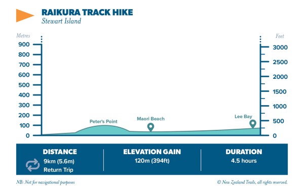 RAIKURA TRACK HIKE 2