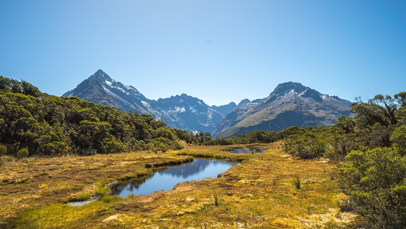 Routeburn Track reflections at Key Summit.