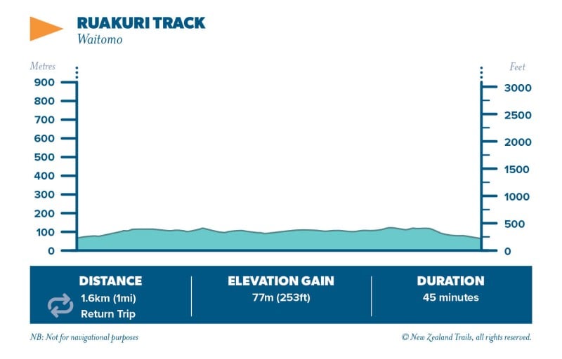 Ruakuri Track2