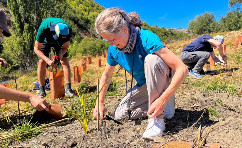 Arrowtown Tree Planting