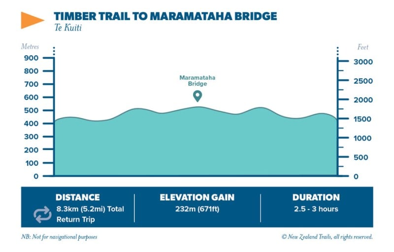 Timber Trails to Maramataha Bridge3