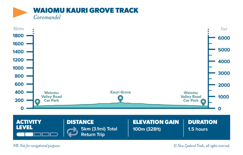 Waiomu Kauri Grove track