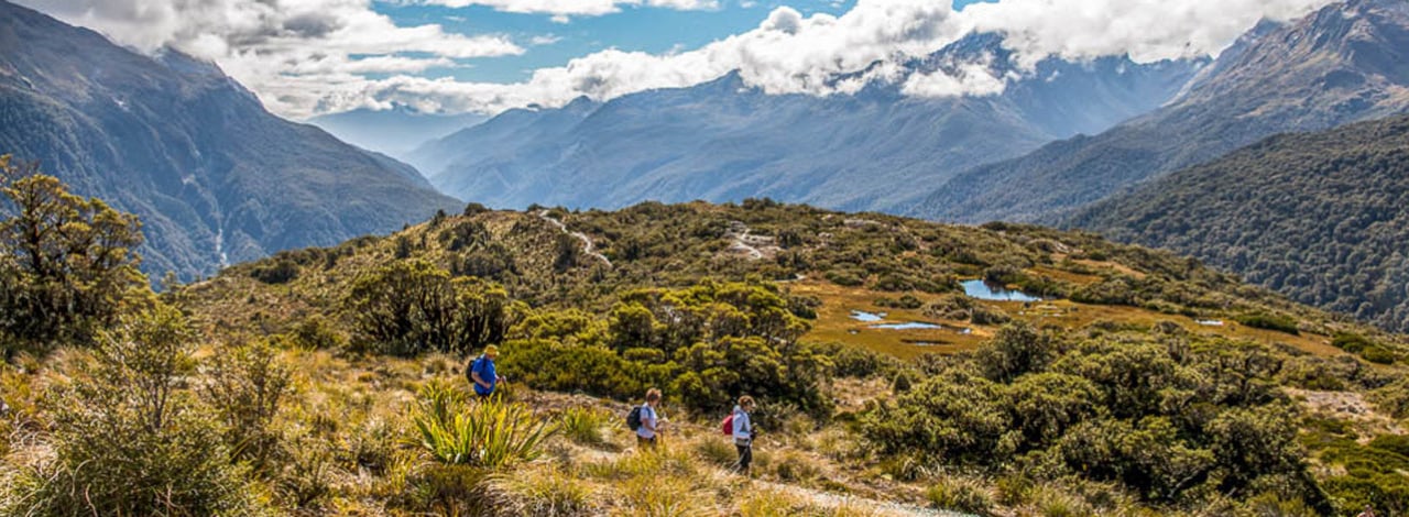 Walking Key Summit Trail Fiordland