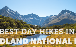 Best Day Hikes in Fiordland