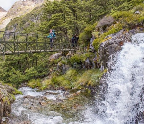 nelson lakes national park on your new zealand hiking tour2