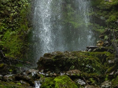 Hollyford Track waterfalls