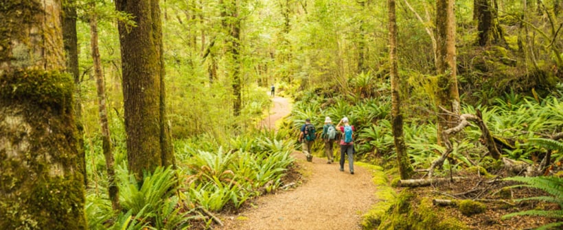 The Ultimate Guide to the Kepler Track