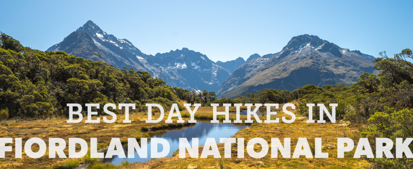 Best Day Hikes in Fiordland