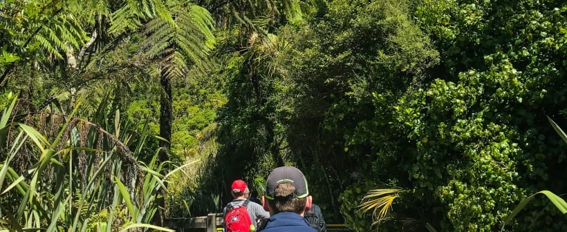 Top 10 lesser known walks of New Zealand