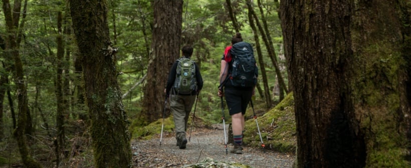 Routeburn walking track