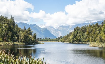 NZ Best Books