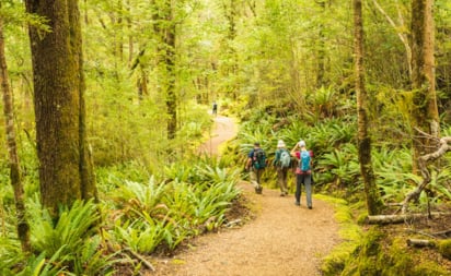 The Ultimate Guide to the Kepler Track