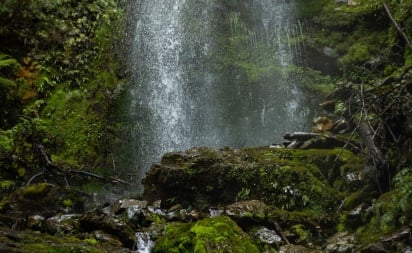 Hollyford Track waterfalls