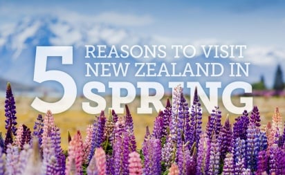 spring in new zealand3